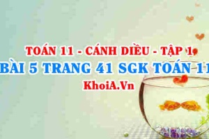 Bài 5 trang 41 SGK Toán 11 tập 1 Cánh Diều